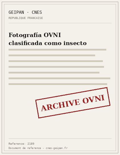 Probable insecto capturado con flash en una foto en Ceillac